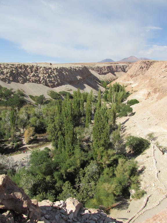 Вілла Complejo Turistico El Toconar Toconao Екстер'єр фото