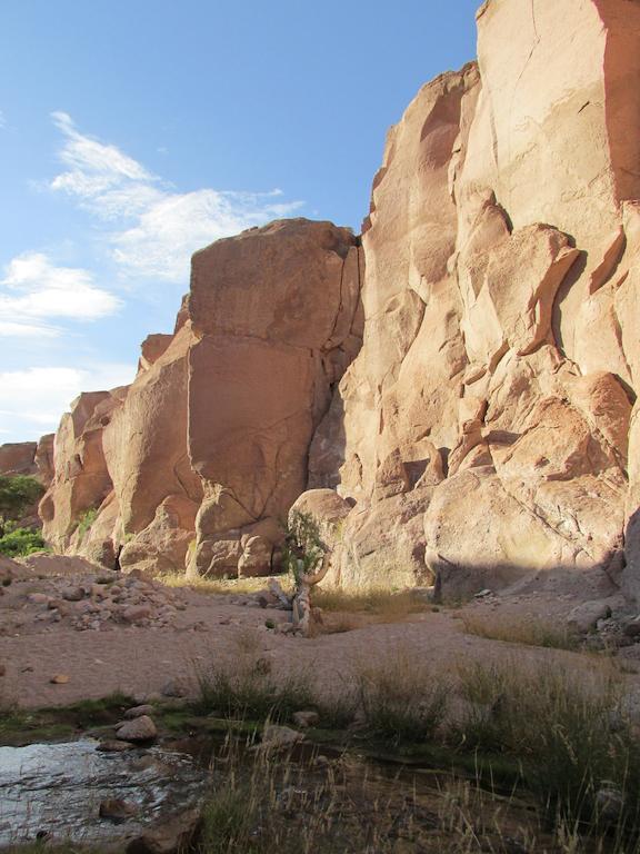 Вілла Complejo Turistico El Toconar Toconao Екстер'єр фото